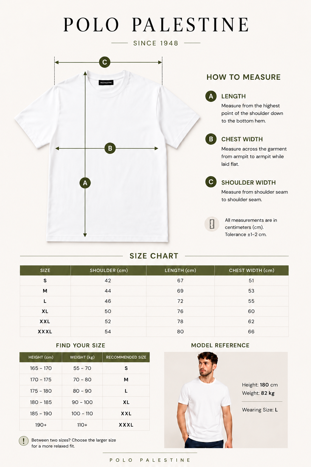 5 Basic T-shirts Offer