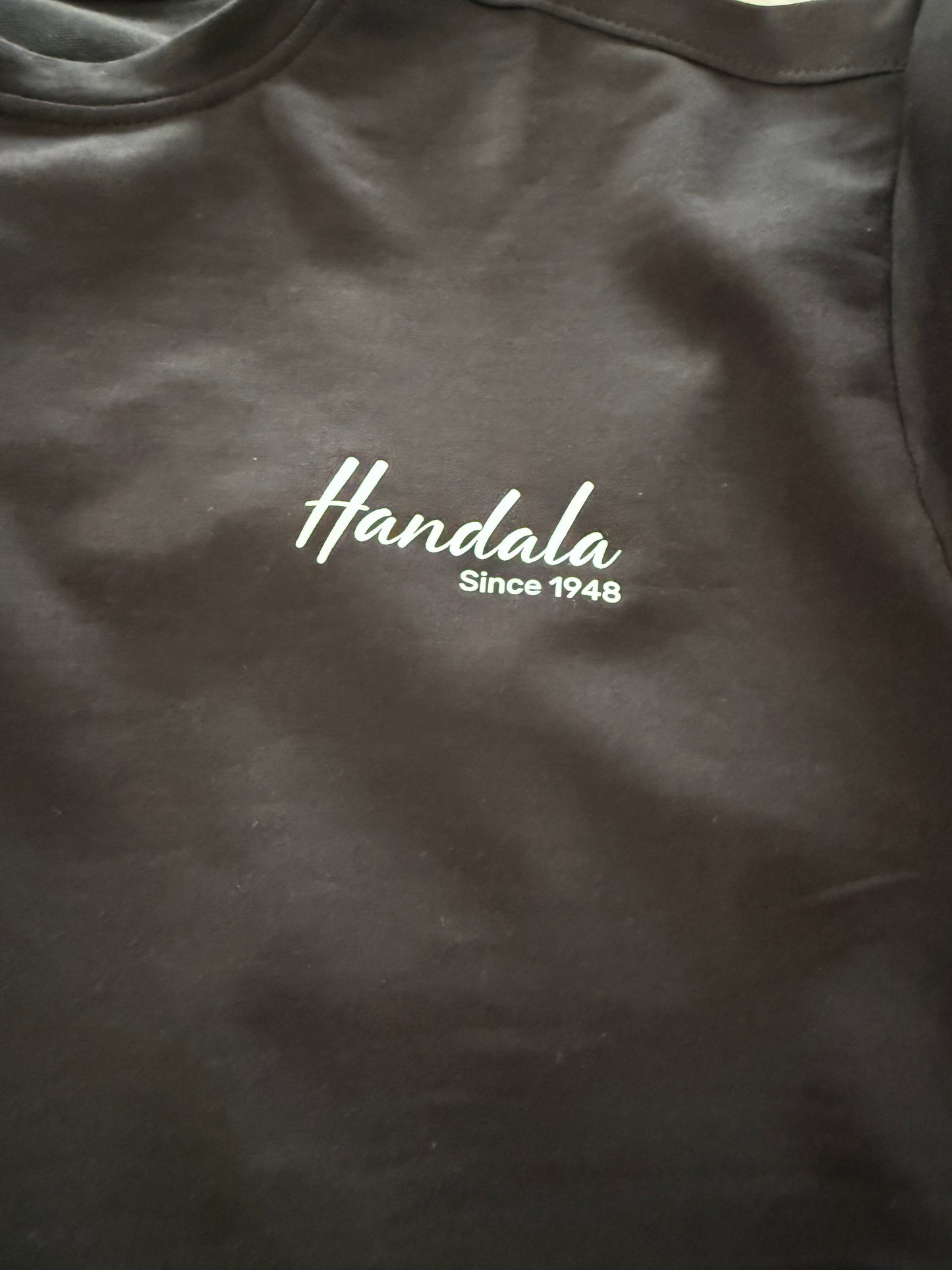 Since 1948 T-Shirt